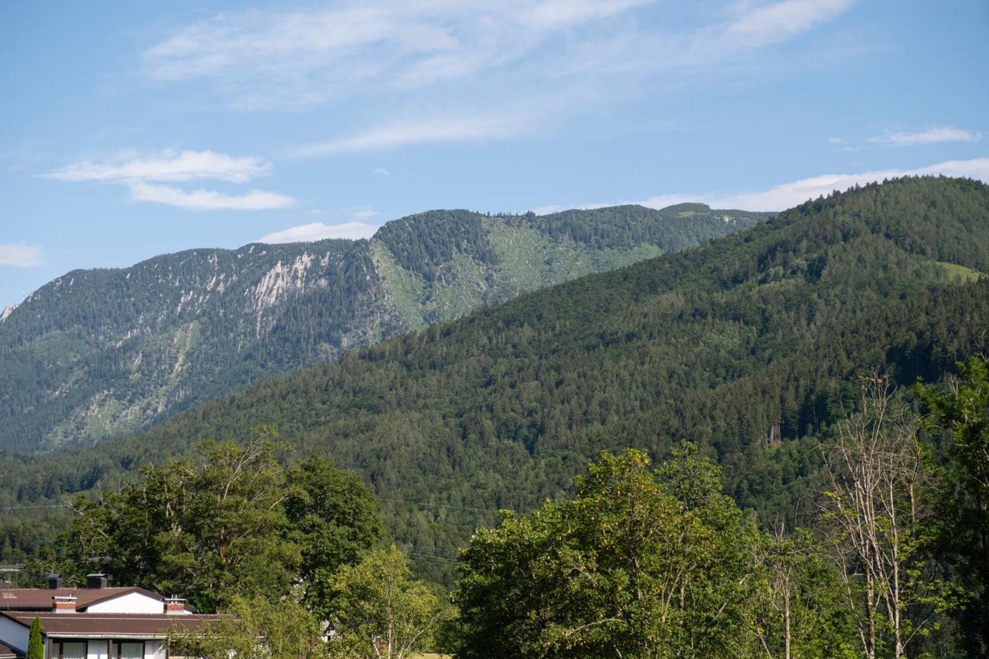 Suite Apartment Modern Getaway - Neu Renoviert - Strobl Am Wolfgangsee Ngoại thất bức ảnh